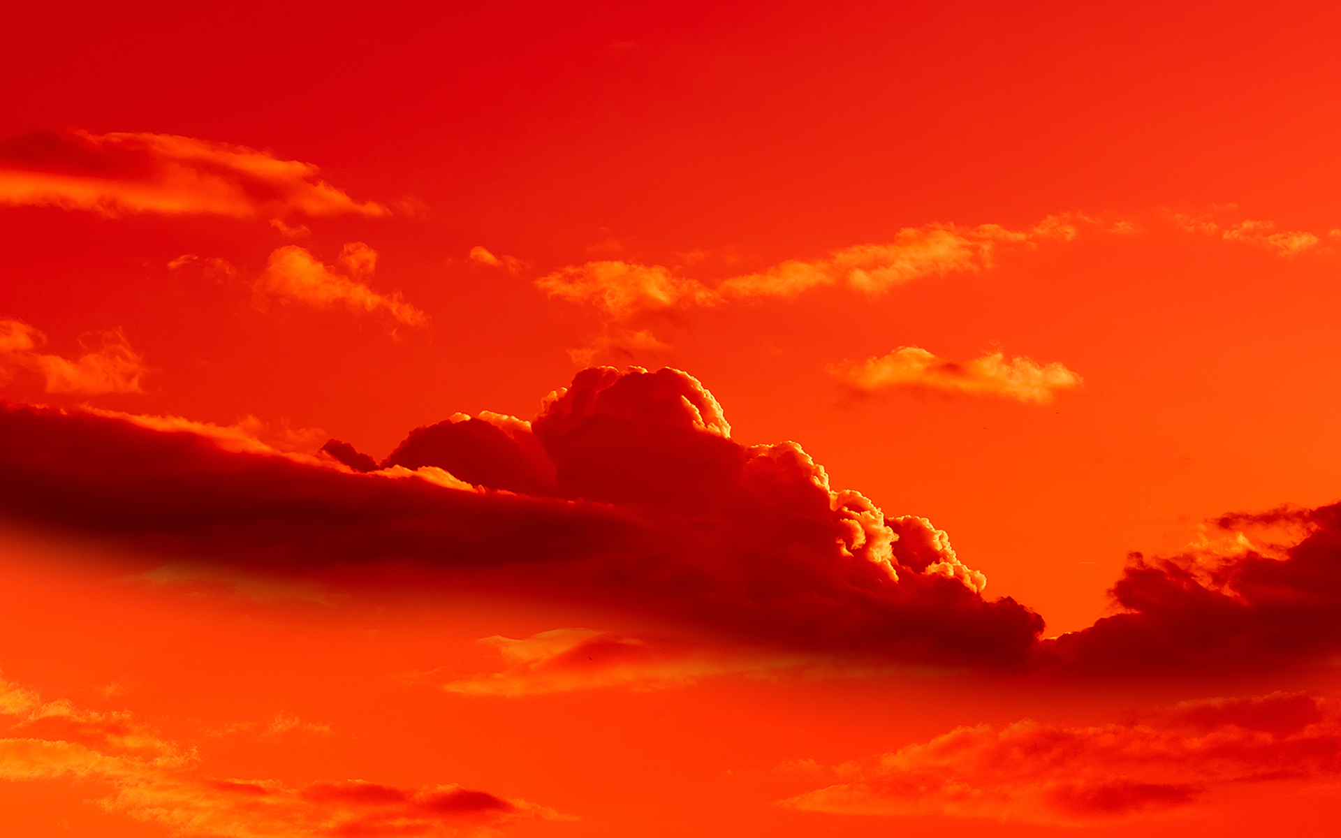 Sonja Bell Fotografie Baden-Baden