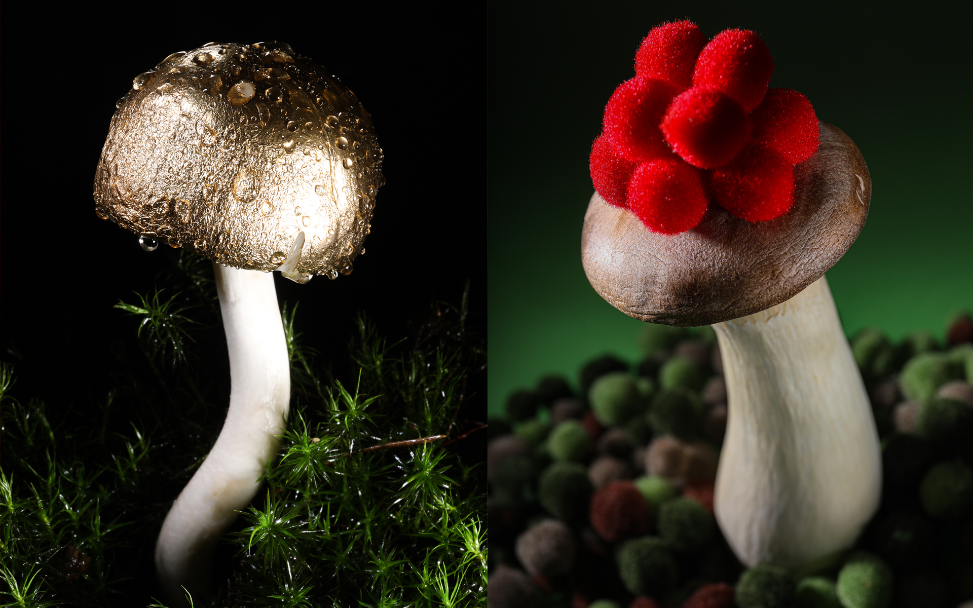 Sonja Bell Fotografie Baden-Baden